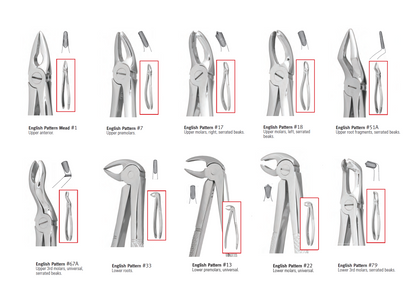 Pakistan Extraction Forceps