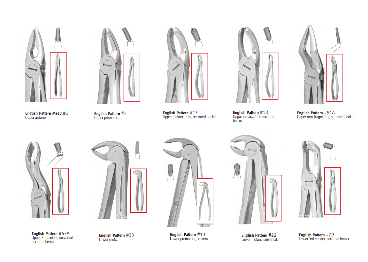 Pakistan Extraction Forceps Kit 10pcs