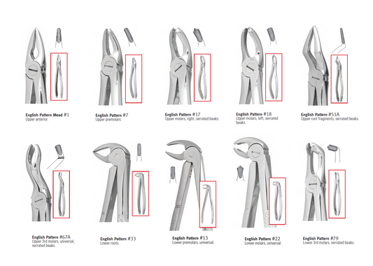 Pakistan Extraction Forceps Kit 10pcs